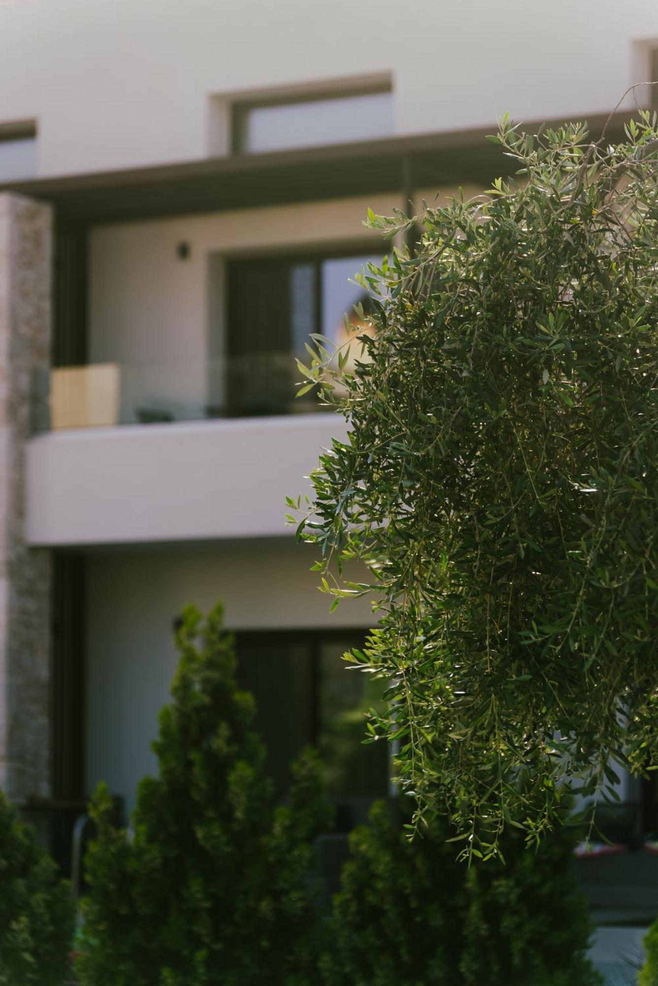 LANGO LUXURY LIVING suites Sívota Extérieur photo